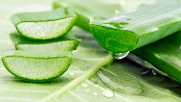 Aloe Vera Removes White Spots From The Skin