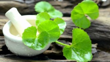 Benefits Of Brahmi Oil