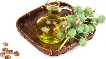 Castor Oil Removes Fungus