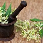 19 Neem Oil Benefits for Hair, Skin & Health