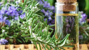 Benefits Rosemary Oil